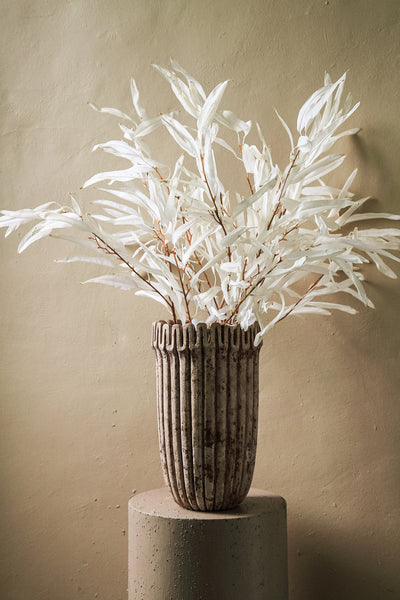 PTMD Leaves Plant Cream mango leaf spray