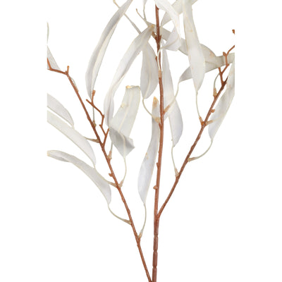 PTMD Leaves Plant Cream mango leaf spray