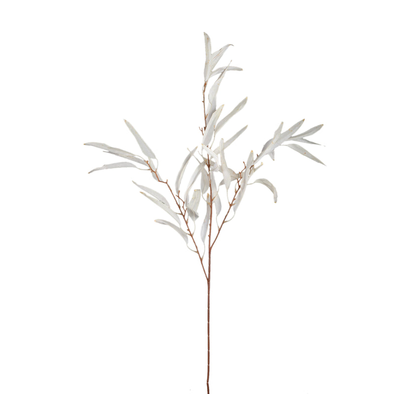 PTMD Leaves Plant Cream mango leaf spray